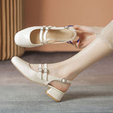 Mary Jane Shoes Women's French Retro Small Red Shoes In The Summer Of 2025 New Double Buckle Shallow Mouth Coarse Single Shoes HZ0115