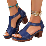 2025 Summer Women's High-Heeled Sandals Wear Coarse Heeled Sandals HZ0115