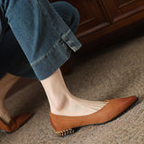 French Retro Wiping Pointy Light-Mouthed Single-Shoe Women 2025 New Comfortable Soft Leather Thick Heel Low-Heeled Single Shoes HZ0115