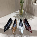 Sharp-Headed Little Shoes Women 2025 New Spring Fine Heel Low Heel Single Shoes French Fashion Kita And Mary Jane Women's Shoes HZ0115