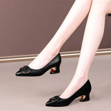 Spring Shallow Mouth Heel Single Shoes Women's Thick Heel 2025 Autumn New Fashion Small Fragrant Wind Pointed Women's Shoes Soft Soles Mother Shoes HZ0115