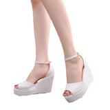 Slope Sandals Women's Summer Fashion Trend 2025 New Lace Fish Mouth Fine With A Word Buckle Casual Ladies Sandals HZ0115