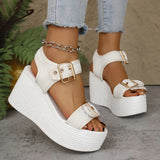 Large-Size Sandals Women 2025 New Fish Mouth Slope With A Word With Women's Shoes HZ0115