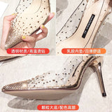 High-Heeled Women Wear 2025 Spring And Autumn Sharp Tip Fine Heel Casual Fashion Single Shoes Fairy Style Transparent High Heels HZ0115