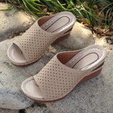 Sandals Women Large-Size Slopes And Summer New Fish Mouth Hollow Breathable Wear Thick-Bottomed Slippers Women HZ0115