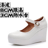 Painted Leather Stone Slope Heel Single Shoe Round Head Light Mouth Work Shoes Thick-Soled Waterproof Table Model Show High Heels Women HZ0115