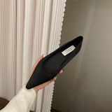 French Temperament State Denance Pointy Single Shoes Women 2025 Summer New Light High-End Fairy Warm Soft-Soled Grandmother Shoes HZ0115