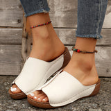 2025 Spring And Summer New Cool Drag Women's Shoes Comfortable Slope And Thick Sole Simple Casual Wear Slippers HZ0115